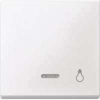 Merten Wippe Kontrollfenster für Kontrollschalter- und Taster-Einsatz mit Aufdruck Licht weiß (matt), Retail