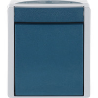 Busch-Jaeger Ausschalter zweipolig Aufputz mit Wippe, Basiselement mit Komplettgehäuse 2601/2 W-53 blaugrün, Retail