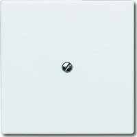 Busch-Jaeger Blindzentralscheibe mit Tragring 2138-32, Blende weiß, Retail