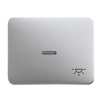 Busch-Jaeger Wippe mit Symbol Licht titan, Retail