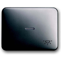 Busch-Jaeger Wippe mit Symbol Licht 1789 LI-20 platin, Retail