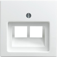 Busch-Jaeger Zentralscheibe alpinweiß für Datenkommunikation Typ 1803-02-914 Kunststoff glänzend, Abdeckung weiß (glänzend), Retail