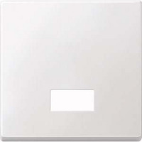 Merten Wippe mit Symbolfenster rechteckig für Kontrollschalter- und Taster-Einsatz Typ 434819 weiß (glänzend), Retail