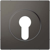 Merten Zentralplatte für genormte Profil-Halbzylinderschlösser mit 40 mm Länge lackiert matt anthrazit, Retail