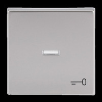 Busch-Jaeger Wippe mit Symbol Schlüssel edelstahl, Retail