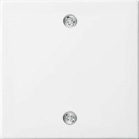 Busch-Jaeger Zentralscheibe für Schalter und Taster, Abdeckung weiß, Retail