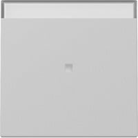 Gira Wippe Kontrollfunktion grau, Retail