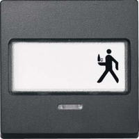 Merten Wippe Kontrast Fenster mit Schriftfeld anthrazit, Retail