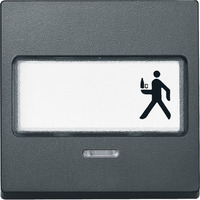 Merten Wippe Kontrast Fenster mit Schriftfeld anthrazit, Retail