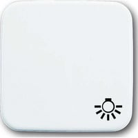 Busch-Jaeger Wippe einteilige mit Symbol Licht Retail