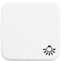 Busch-Jaeger Wippe einteilige mit Symbol Licht Retail