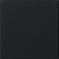 Gira Wippe 1fach unbedruckt schwarz, Retail