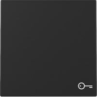 Gira Wippe mit Symbol Tür schwarz, Retail