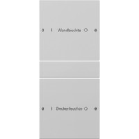 Gira Wippenset zweifach beschreibbar lackiert, Schalter grau, Retail