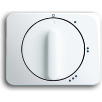 Busch-Jaeger Zentralscheibe Drehknopf für Dreistufen-Drehschalter glänzend, Abdeckung weiß (glänzend), Retail