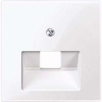 Merten Zentralplatte Aufputzweiß glänzend für Universal-Anschluss-Einsatz Kategorie 6A Typ 296225 weiß (glänzend), Retail