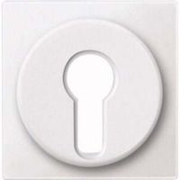 Merten Zentralplatte für Wechsel-Rastschalter-Einsatz, Typ 318119, Kunststoff, matt, 55x55 mm weiß (matt), Retail