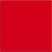 Busch-Jaeger Einteilige Wippe rot, Retail