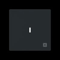 Busch-Jaeger Wippe mit Symbol Stecker mit transparenter Kalotte schwarz, Retail