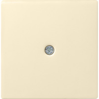 Gira Zentraleinsatz cws-gl, Zentralplatte Retail