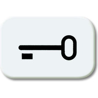 Busch-Jaeger Tastersymbol ausschaltwippe 2525 TR-214, Schlüssel weiß, Retail