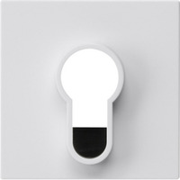 Gira Abdeckung für Schlüsselschalter und Schlüsseltaster unbedruckt glänzend weiß, Retail