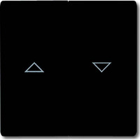 Busch-Jaeger Wippe anthrazit, Retail