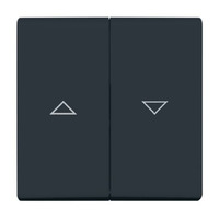 Busch-Jaeger Wippe anthrazit, Retail