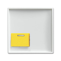 Busch-Jaeger Zentralscheibe als Abdeckung für Abstelltaster mit LED-Erinnerungslampe weiß, Retail