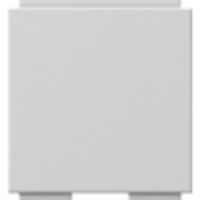 Gira Universal Blindabdeckung für Abdeckung Modular Jack 2fach mit 30 Grad Schrägauslass und Beschriftungsfeld grau, Retail