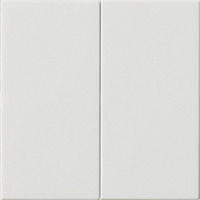 Gira Wippe zweifach weiß, Retail