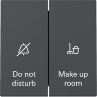 Gira Wippschalter Anzeige Hotelzimmerstatus mit Wippe 2fach anthrazit, Retail