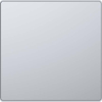 Merten Wippe für Wechselschalter, Kreuzschalter und Taster, einteilige Ausführung, lackiert edelstahl, Retail