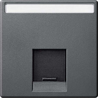 Merten Zentralplatte einfach mit Schriftfeld und Verschlussschieber anthrazit, Retail