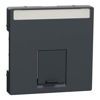 Merten Zentralplatte einfach mit Schriftfeld und Verschlussschieber anthrazit, Retail