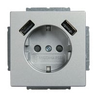 0 Schutzkontakt Steckdose mit zwei USB Anschlüssen aluminium, Retail