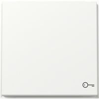 Gira Wippe mit Symbol Tür weiß, Retail