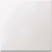 Merten Wippe für Wechselschalter, Kreuzschalter und Taster, 1-fach, Duroplast, glänzend weiß (glänzend), Retail