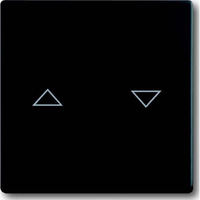 Busch-Jaeger Wippe für Jalousieschalter und Taster zweiteilig matt schwarz, Retail