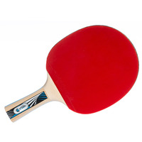 Donic-Schildkröt Tischtennisschläger Legends 1000 FSC, Fitnessgerät 