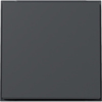 Gira Wippe mit Diebstahlschutz durch optional verschraubbares Klemmstück anthrazit, Retail