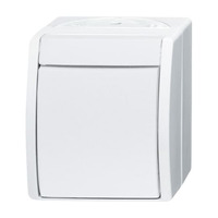 Busch-Jaeger Ausschalter 2601/2 W-54 weiß (matt), Retail