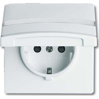 Busch-Jaeger Schutzkontakt-Steckdoseneinsatz Typ F 20 EUGKBN-32-101 Retail