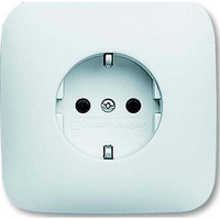 Busch-Jaeger Steckdosen Einsatz mit Steckanschluss 20 EUJ-214 weiß, Retail