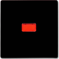 Busch-Jaeger Wippe Kontroll-Wechsel braun, Retail