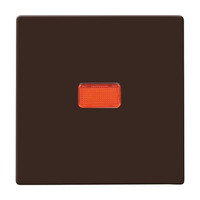 Busch-Jaeger Wippe Kontroll-Wechsel braun, Retail