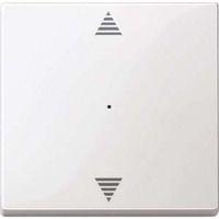 Merten Wippe für Tastermodul einfach, glänzend, Thermoplast, System M, Typ 619419 weiß (glänzend), Retail