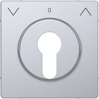 Merten Zentralplatte für genormte Profil-Halbzylinderschlösser mit 40 mm Länge edelstahl, Retail