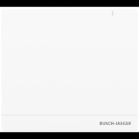 Busch-Jaeger System Access Point 2.0 Wireless Typ SAP/S.13 für Busch-free@home Installationsbussystem Retail