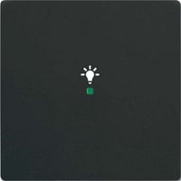 Busch-Jaeger Wippe future linear schwarz, Retail